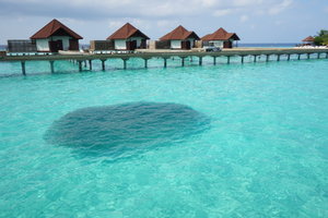 罗宾逊岛ROBINSON Club Maldives