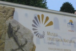辛特拉自然历史博物馆Museu de História Natural de S