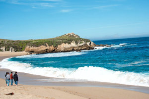 Monastery Beach