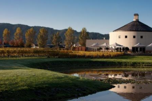 克莱格酒庄Craggy Range Winery