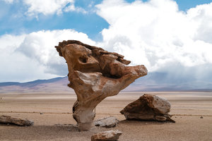 Salvador Dali Desert
