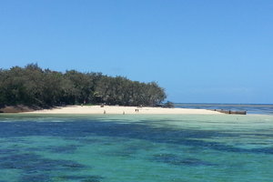 凯恩斯绿岛Green Island