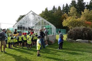 Queenstown Garden