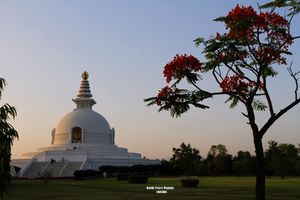 蓝毗尼世界和平塔World Peace Pagoda