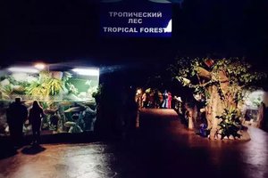 索契海洋探索世界水族馆Sochi Discovery World Aquari