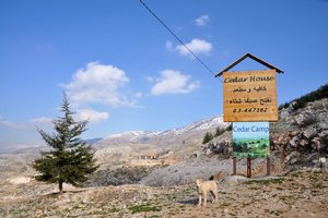 雪松山The Cedars